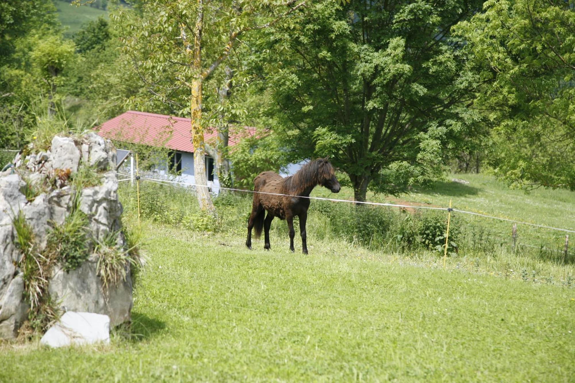 El Conventu Del Asturcon Guest House Lago  Екстериор снимка
